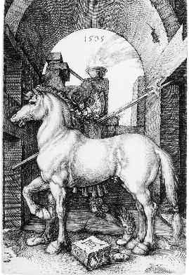 Das kleine Pferd 1505