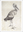 Kunstpostkarte "Studie eines Storches"