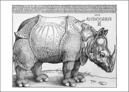 Kunstpostkarte "Das Rhinozeros"