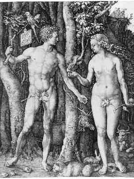 Adam und Eva 1504